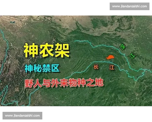 围绕去向成谜事件背后的真相追寻与多方猜测解析及社会影响之探析